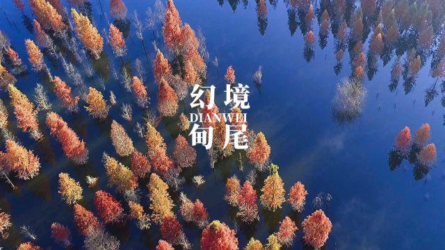 动漫明星竞速赛