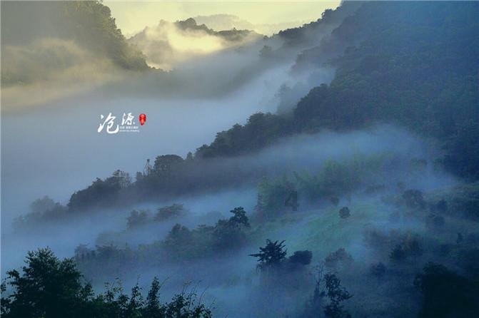 坦克大乱斗